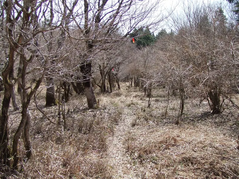 Mount Kagamashi