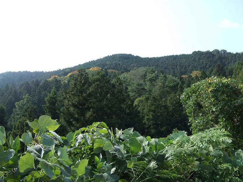 Mount Gozaisho