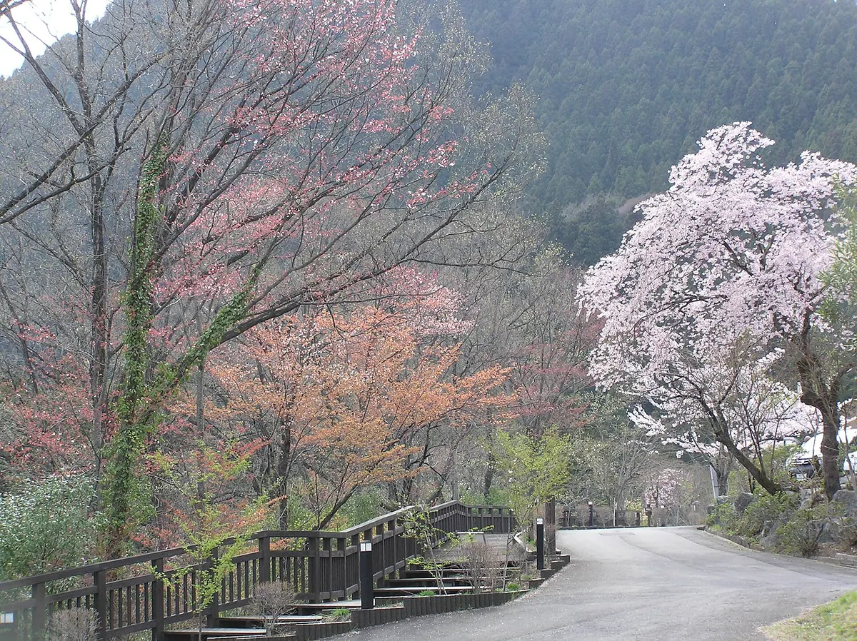 Jōmine Park