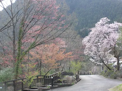 Jōmine Park