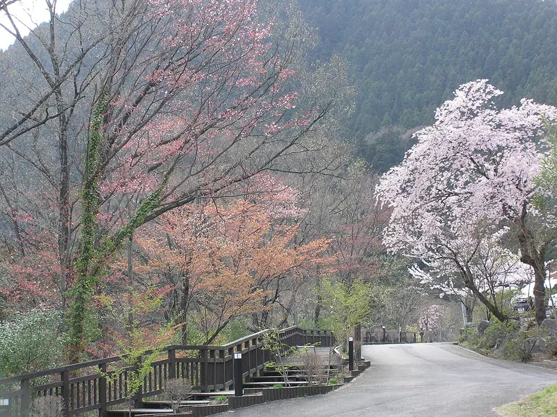 Jōmine Park
