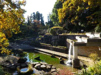 Tadao Park