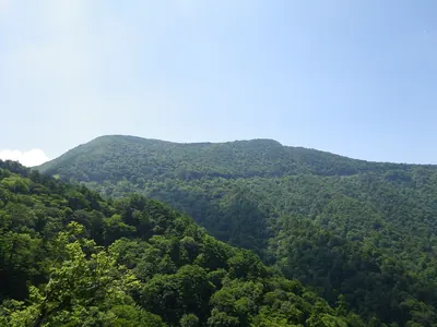Tengunomori