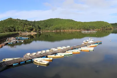 Lake Hoko