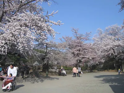 Mizusawa Park
