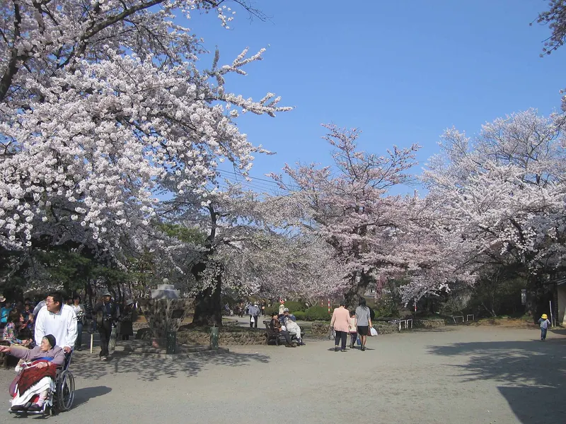 Mizusawa Park