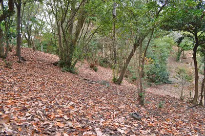 Itsukahara Kofun