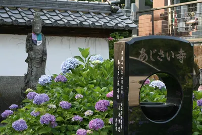 Daisen-ji Temple