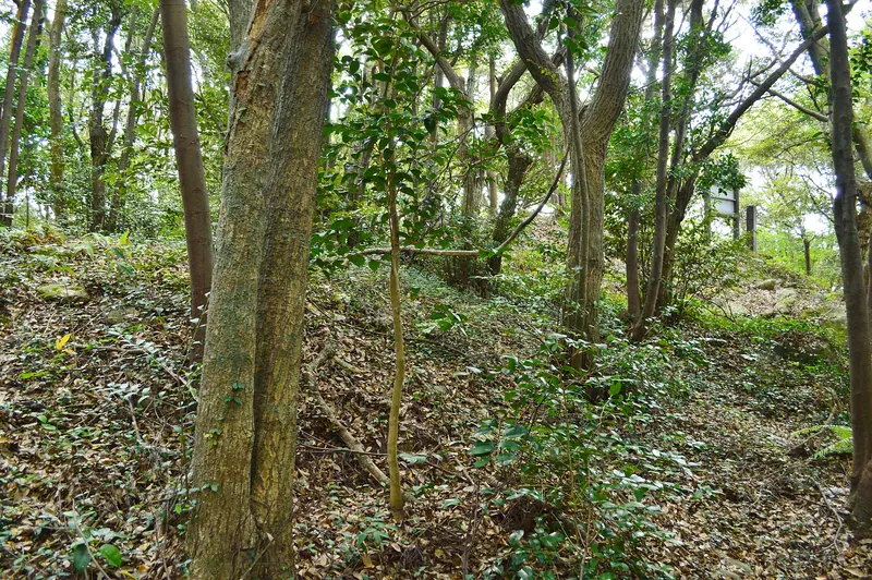 Neso Kofun Cluster