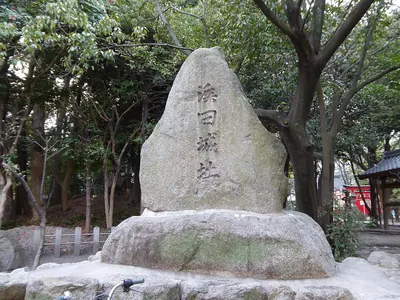 Hamada Castle