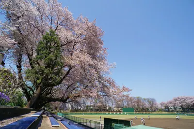 Machida Chūō Park
