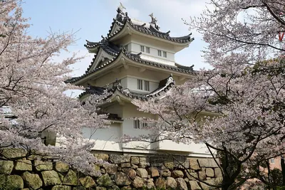 Tsu Castle