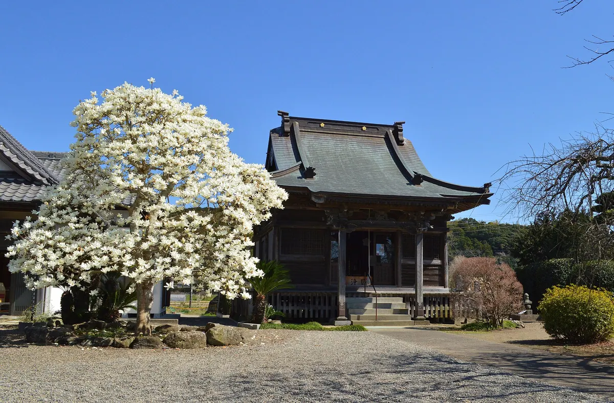 Awa Kokubun-ji Temple