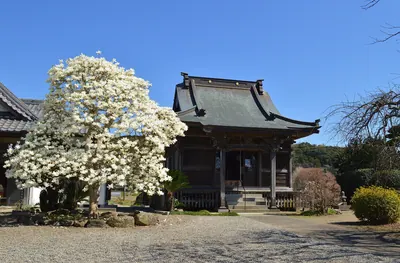 Awa Kokubun-ji Temple