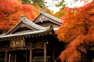 Sennyo-ji Temple