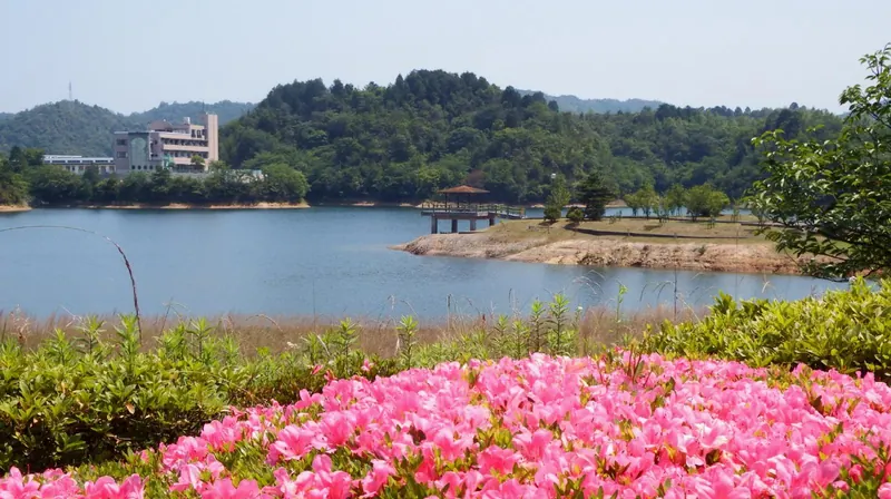 Ikedaike Park