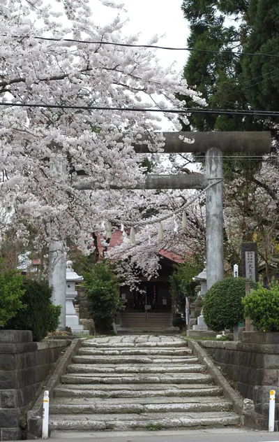 Yokote-shinmeisha