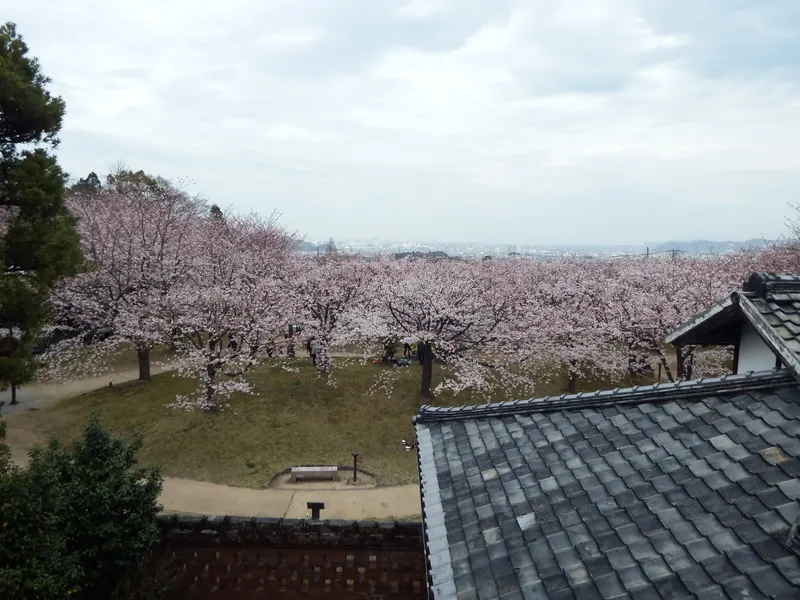 Hirose Park