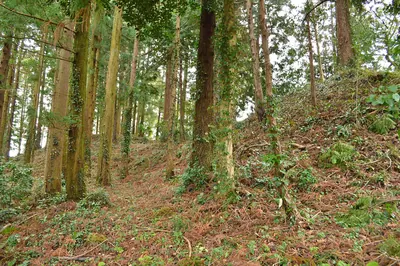 Hei-jinja Kofun