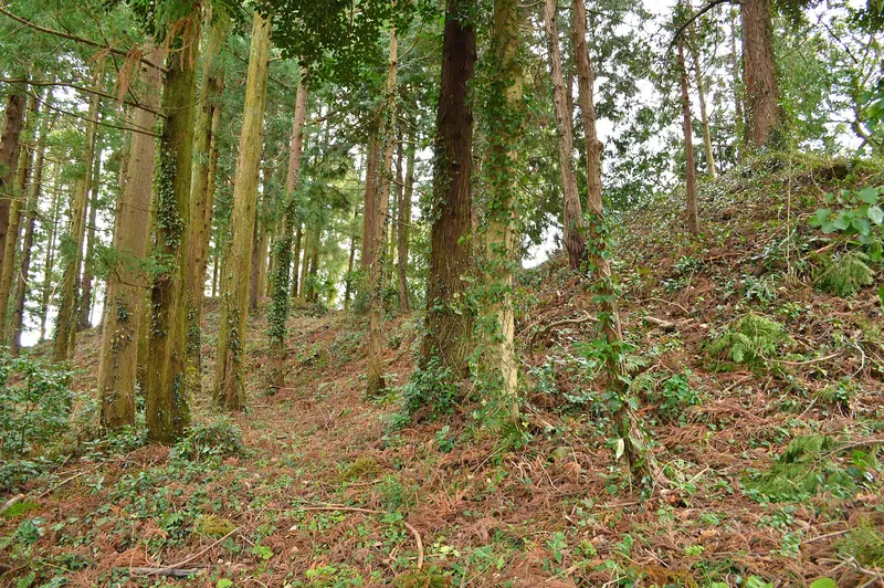 Hei-jinja Kofun