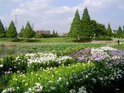 Shirasagi Park