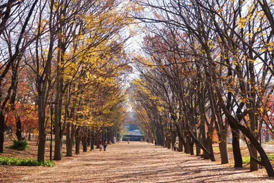 Tsuruma Park