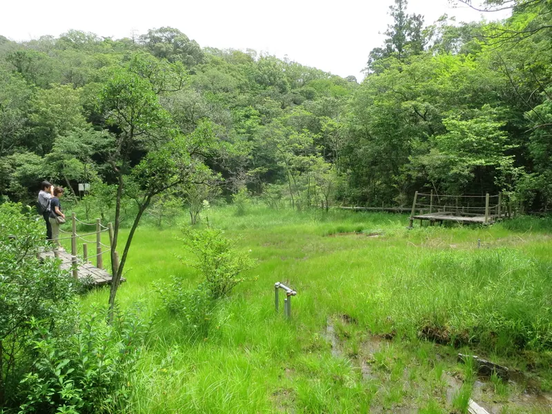 Kitayama Wetlands