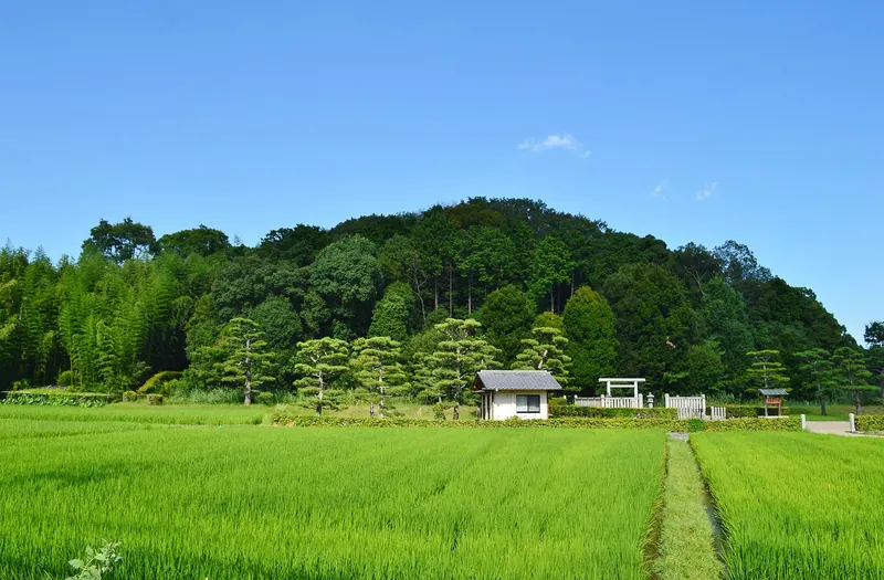 Saki Takatsuka Kofun