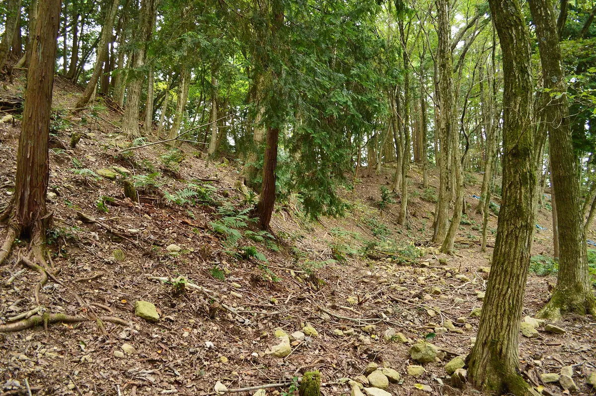 Kōjin-yama Kofun