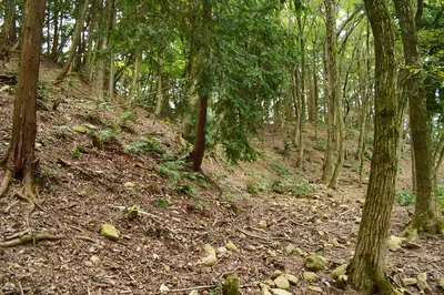 Kōjin-yama Kofun