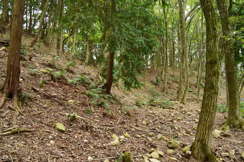 Kōjin-yama Kofun