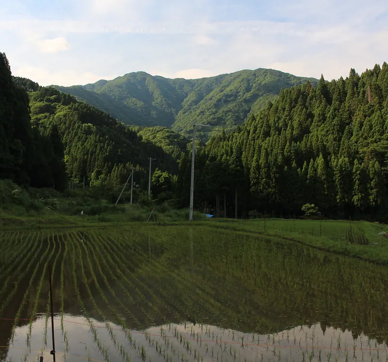 Mount Yokoyama