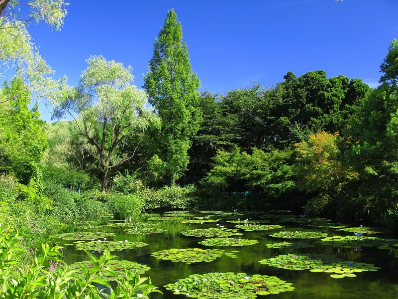 Kitagawa Village Monet's Garden Marmottan