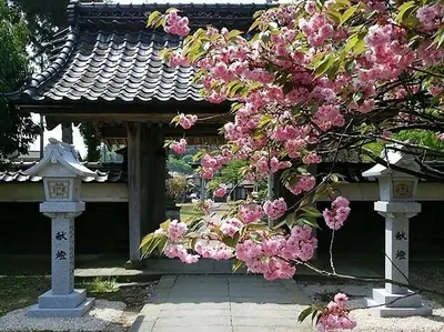 Fujimoto Shrine