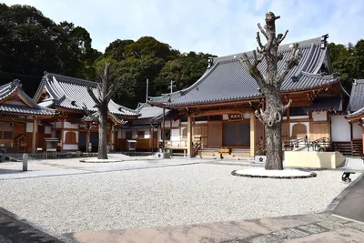 Toun-in