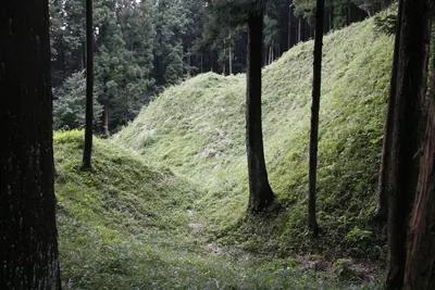 Iwabitsu Castle