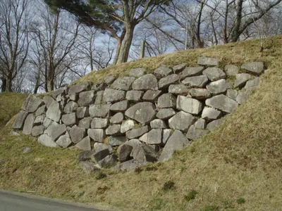 Obama Castle