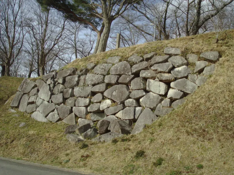 Obama Castle