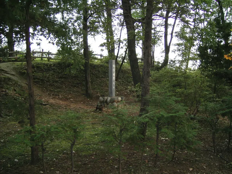 Hachigata Castle