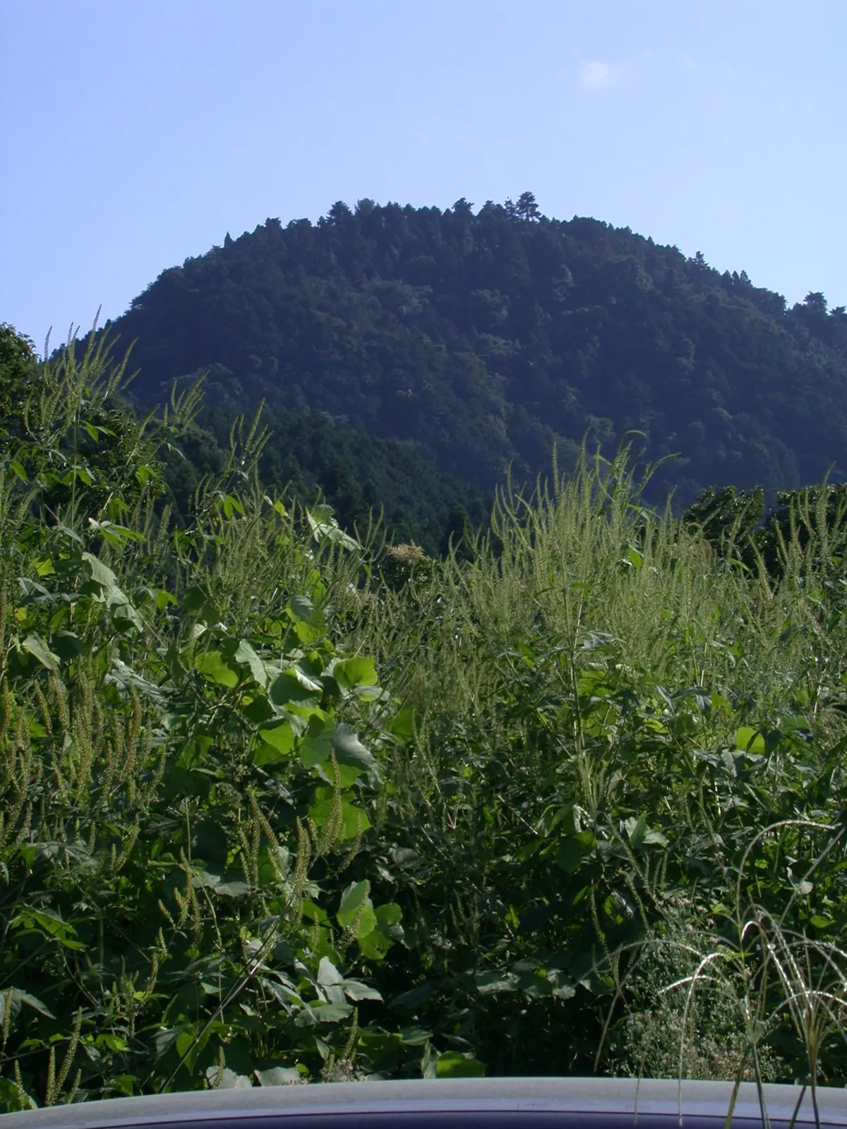 Hachiōji Castle