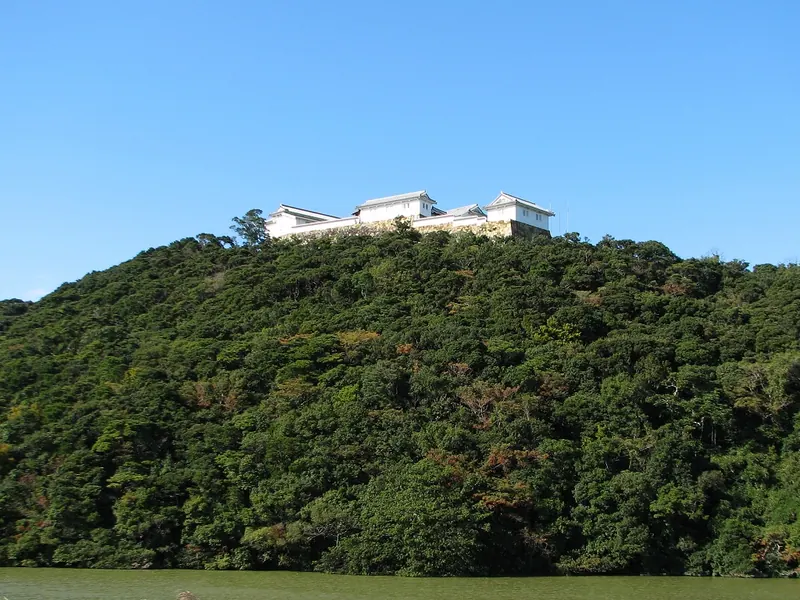 Tomioka Castle