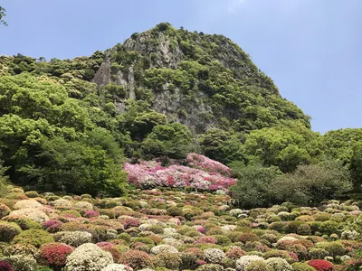 Mifuneyama Rakuen