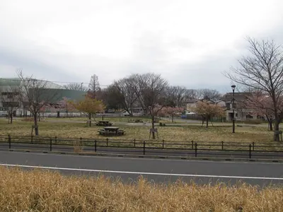 Kyōdo-no-Mori Park
