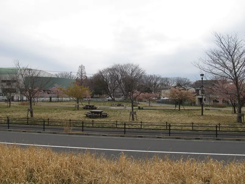 Kyōdo-no-Mori Park