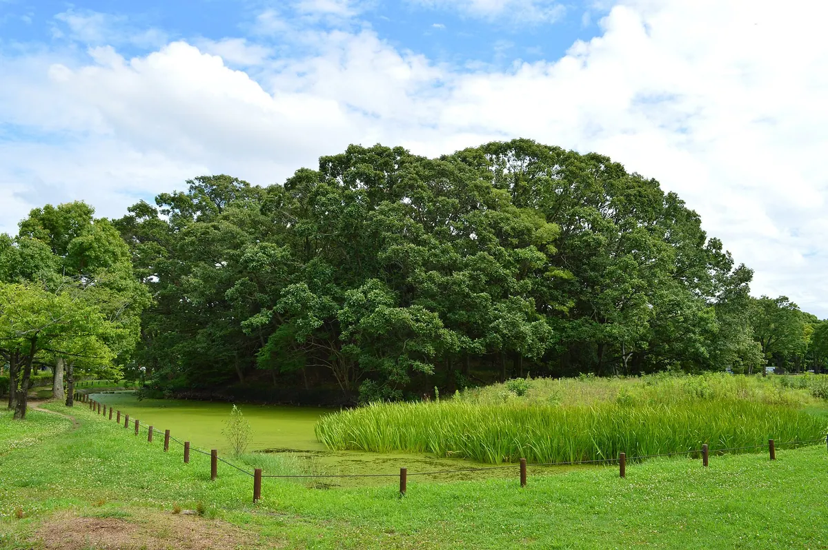 Magodayūyama Kofun