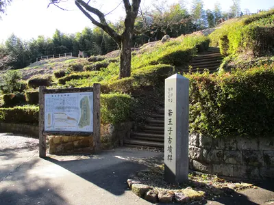 Nyakuōji Kofun Cluster