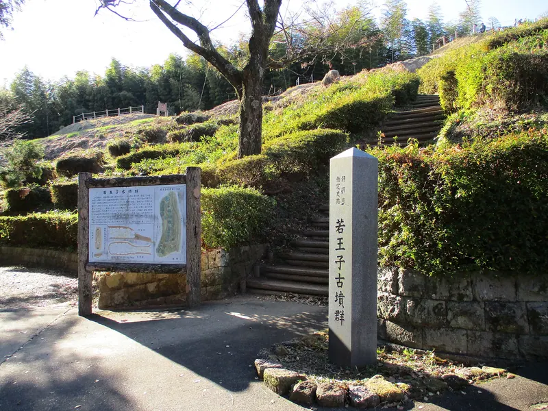 Nyakuōji Kofun Cluster