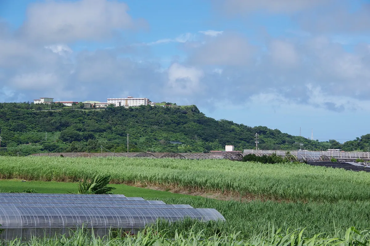 Mount Yaese