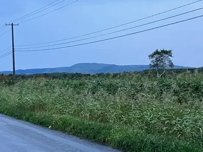 Mount Isosannupuri