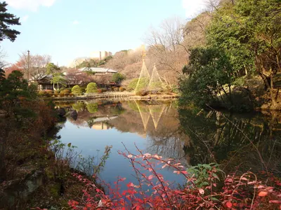 Higo Hosakawa Garden